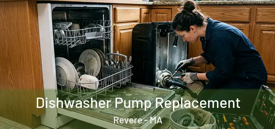  Dishwasher Pump Replacement Revere - MA